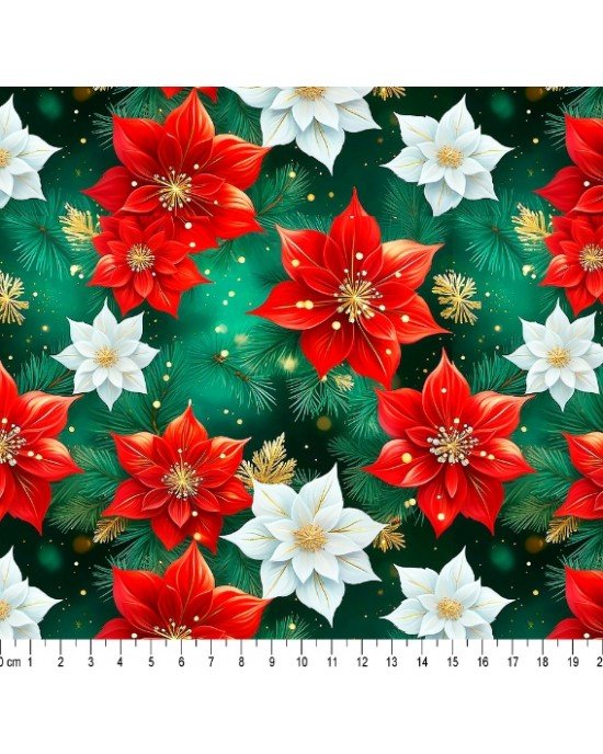 Natal 2024 cor - 14 (Est. Digital) Natal 2024 cor - 14 (Est. Digital)
